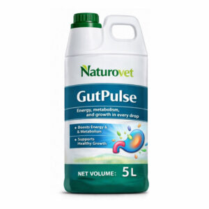 GutPulse