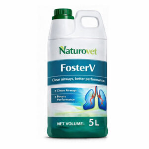 FosterV