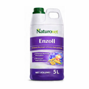Enzoll